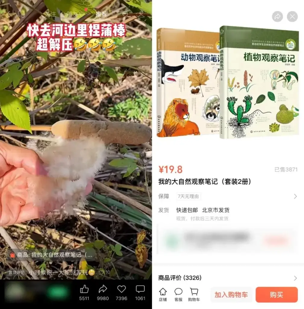 图片[54]-视频号搞钱思路整理：视频号短视频60种账号标签方向 帮助你轻松变现   呕心沥血整理合集-知赚网