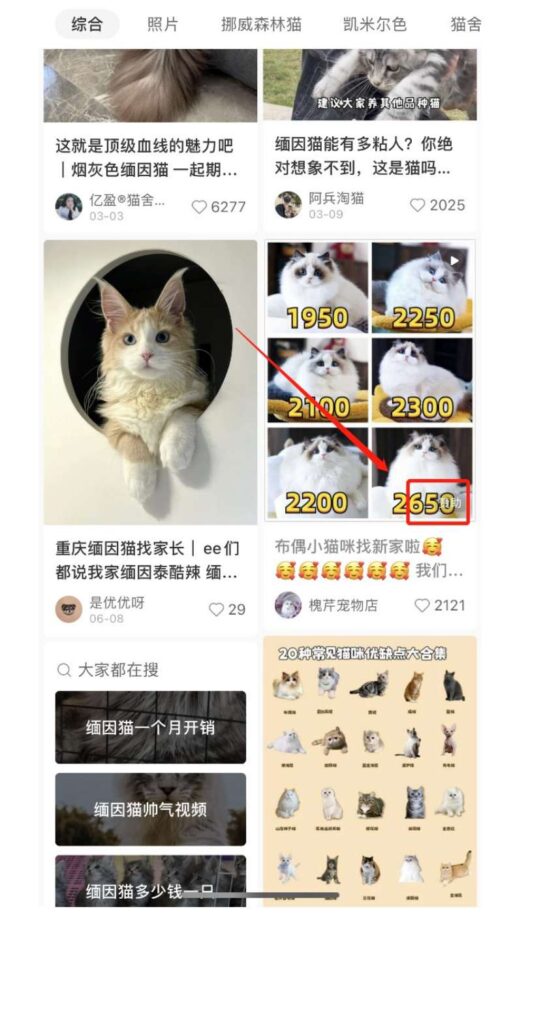 图片[2]-揭秘小猫咪活体小红书打粉项目，高客单价，每单利润 5000+ 认真坚持落地实操 轻松月入过万（篇二）-知赚网