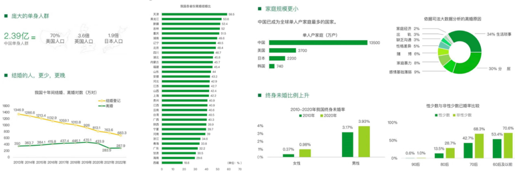 图片[1]-单身经济蓝海赛道，最适合普通人的低门槛项目之一，案例半个月变现六位数，附带保姆级干货实操教程-知赚网